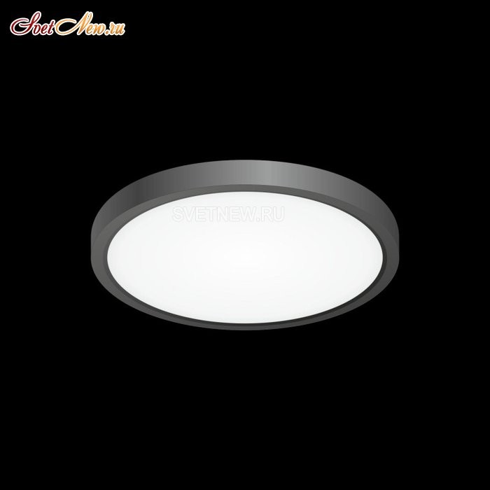 CL738181V