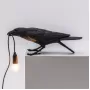 Bird Playing Black