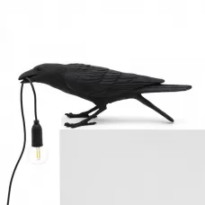 Bird Playing Black