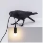 Bird Playing Black