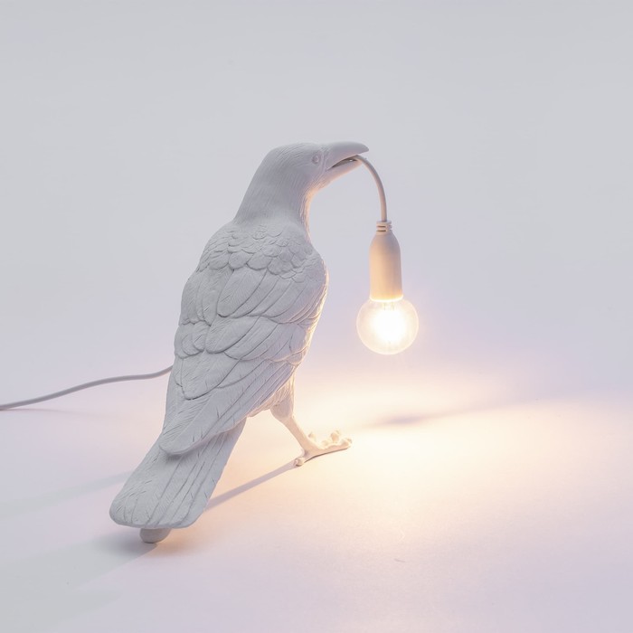 Bird Waiting White