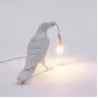 Bird Waiting White