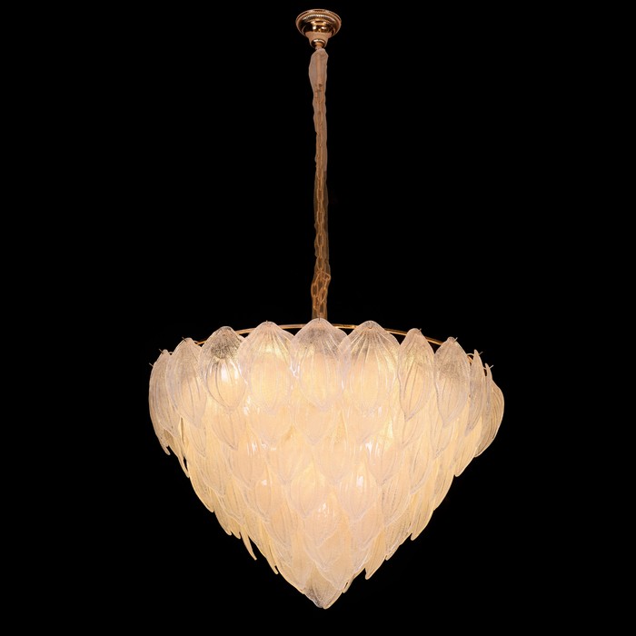 Novida L12 gold