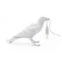 Bird Waiting White