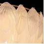 Novida L12 gold