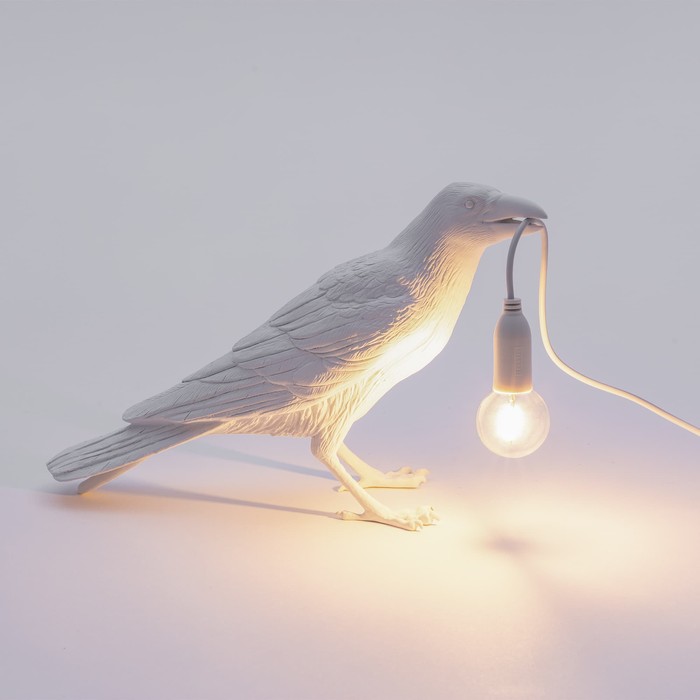 Bird Waiting White