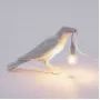 Bird Waiting White