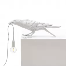 Bird Playing White