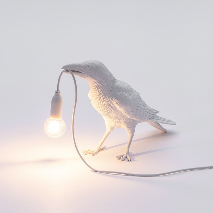 Bird Waiting White