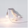 Bird Waiting White