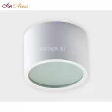 OX 42 white