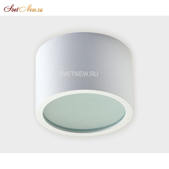 OX 42 white