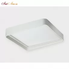 10039 white