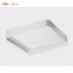 10039 white