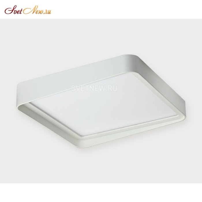 10039 white