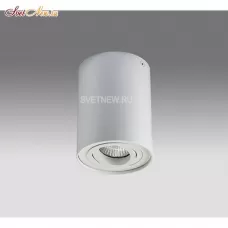5600 white