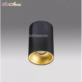 3160 black/gold