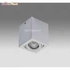 OX 13A white