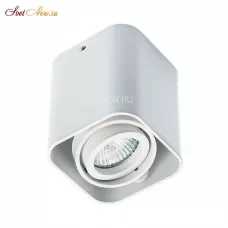 5641 white