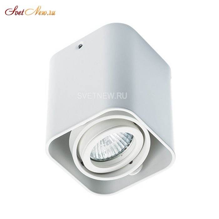 5641 white