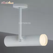 M03-003 WHITE