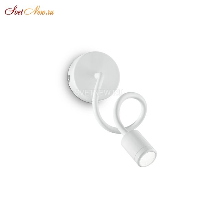 FOCUS-1 AP1 BIANCO