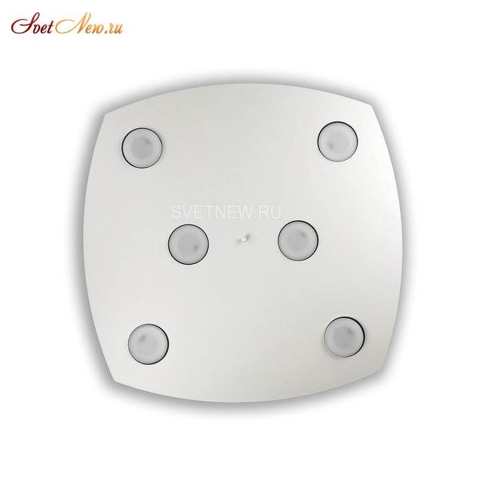 MITO PL6