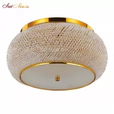 PASHA' PL14 ORO