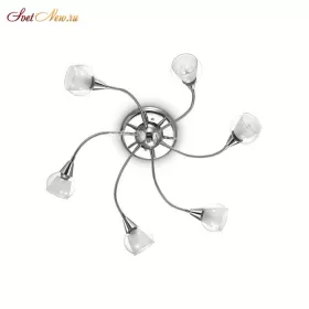 TENDER PL6 TRASPARENTE