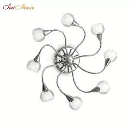 TENDER PL8 TRASPARENTE