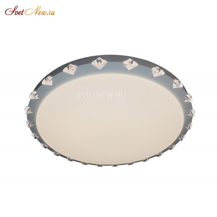 LED LAMPS 81073