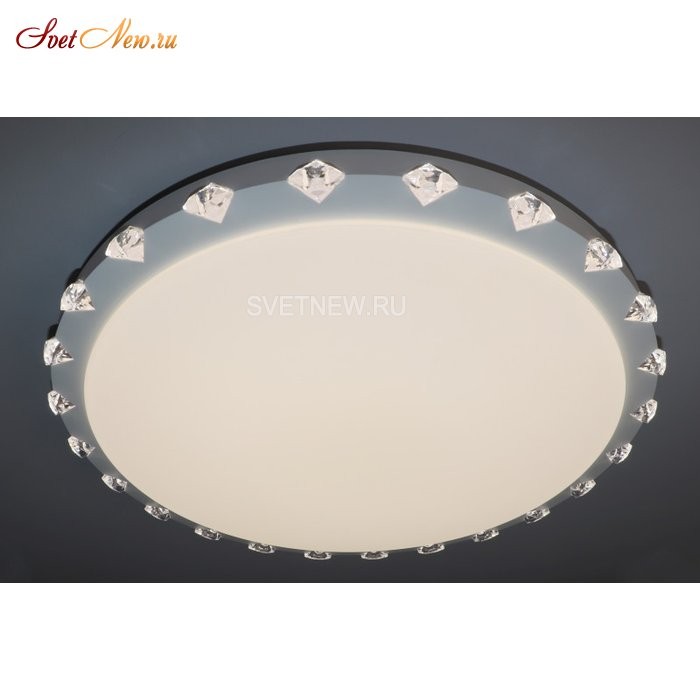 LED LAMPS 81073