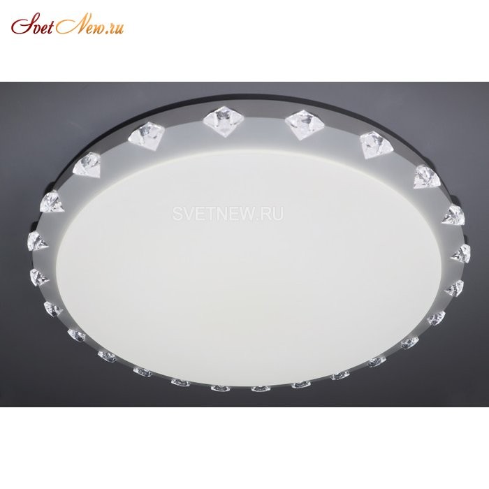 LED LAMPS 81073