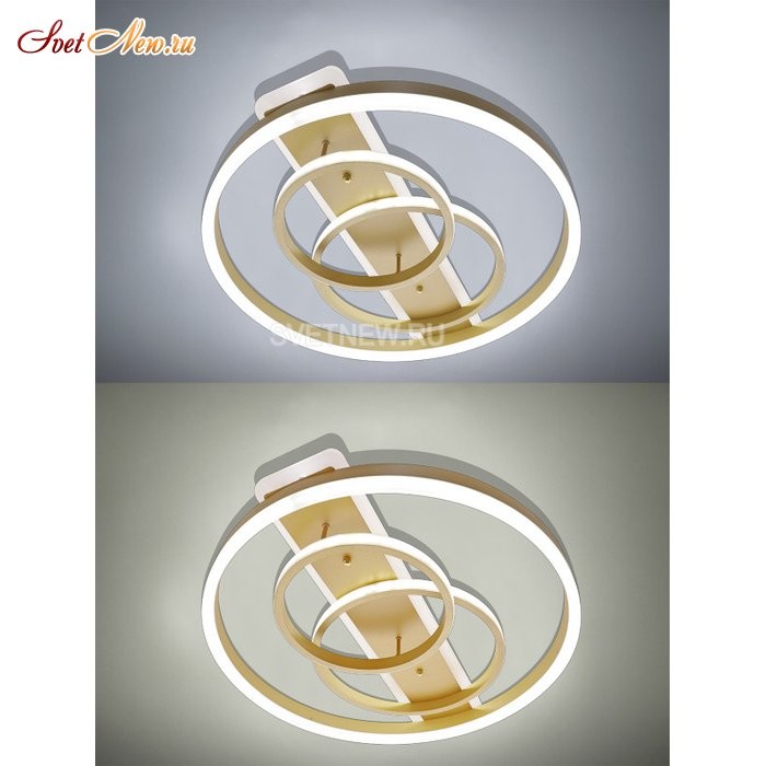 LED LAMPS 81302