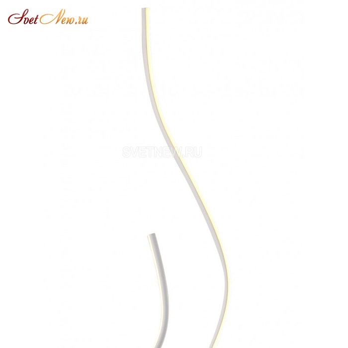 LED LAMPS 81343/1F