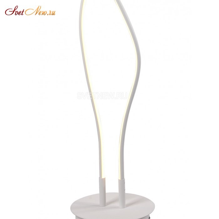 LED LAMPS 81343/1F