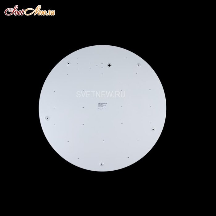10002/48 White