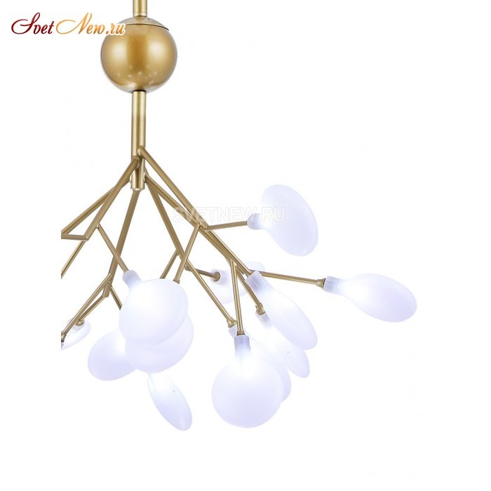 GRACE 75124/12С GOLD SATIN