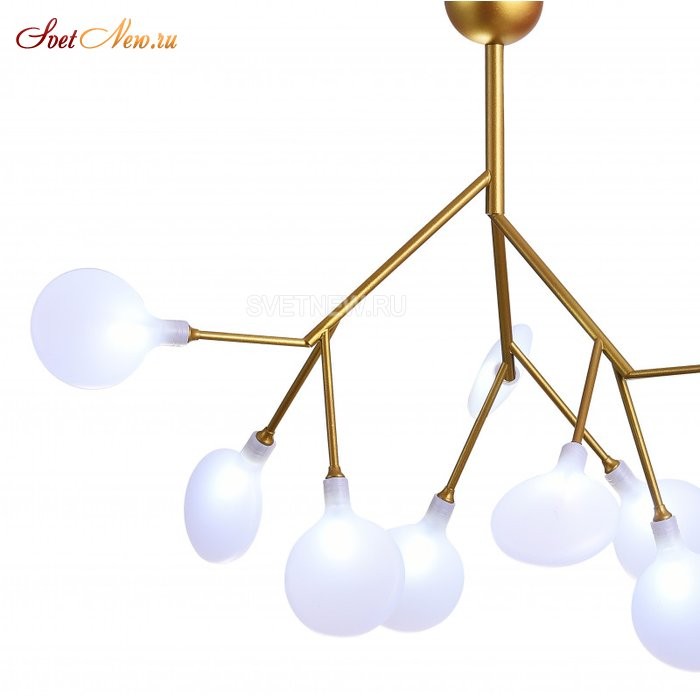 GRACE 75124/6С GOLD SATIN
