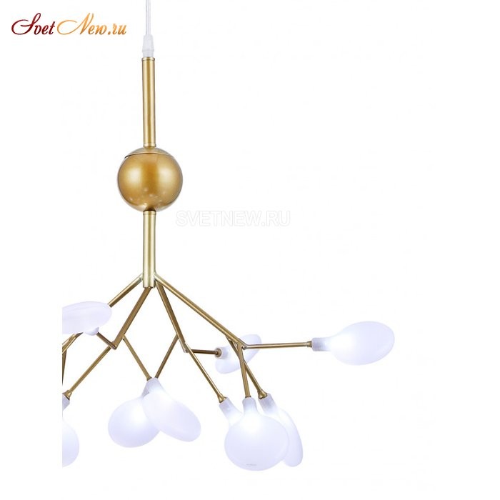 GRACE 75124/8С GOLD SATIN