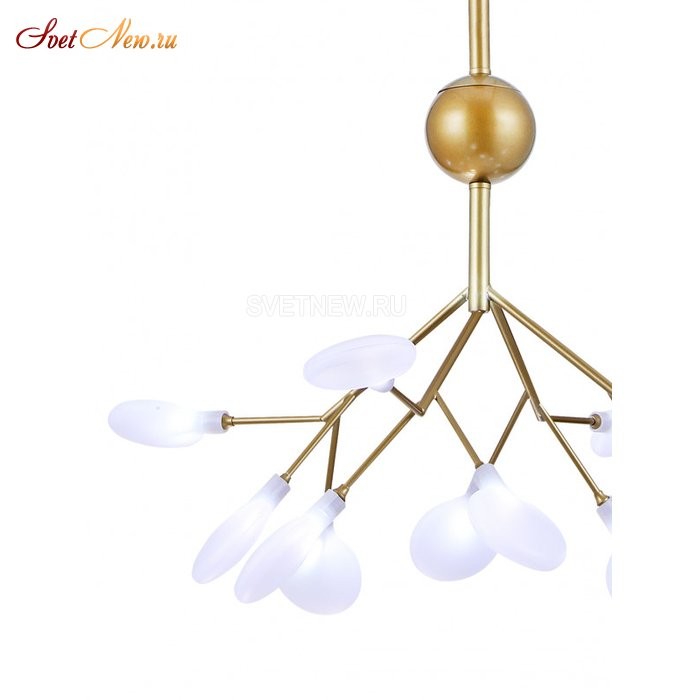 GRACE 75124/8С GOLD SATIN