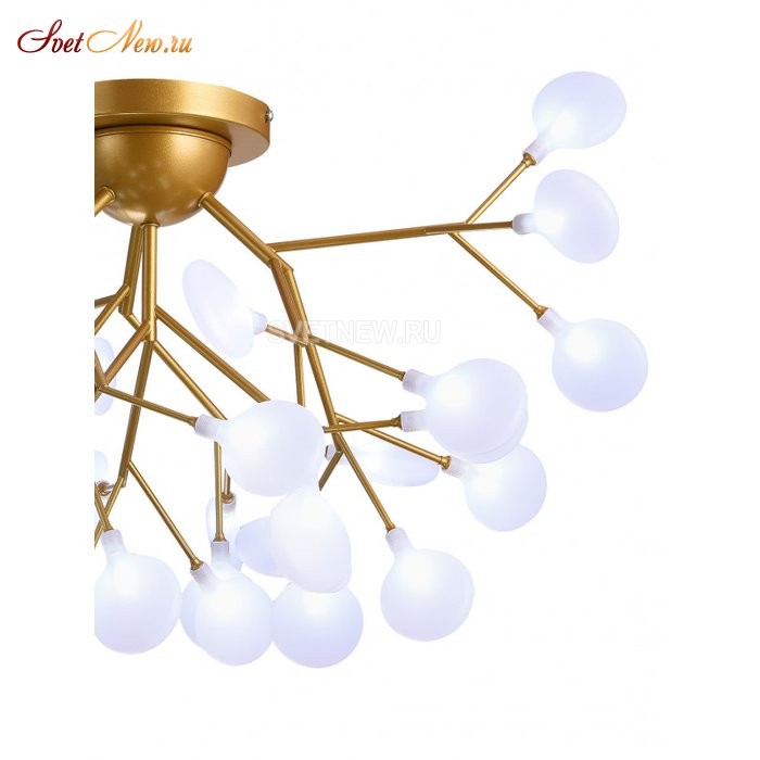 GRACE 75126/12С GOLD SATIN