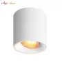 DK3090-WBR