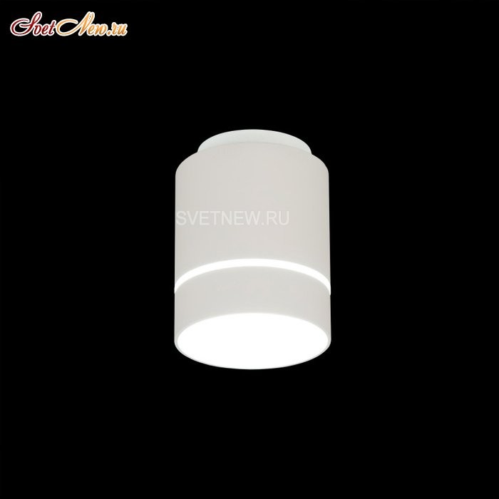 CL745010N