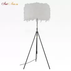 LSP-0571