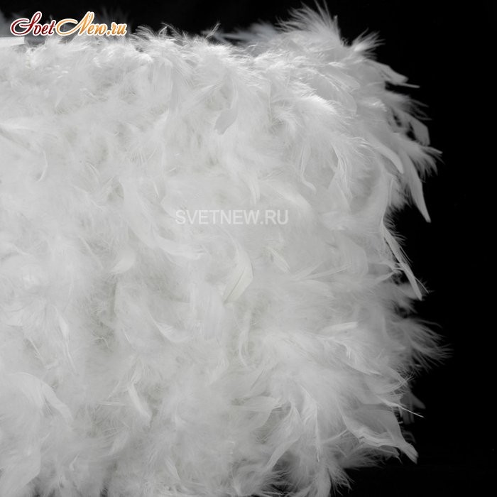 LSP-0571