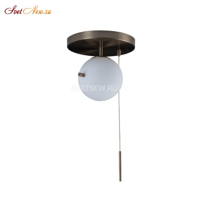 10029C Gold