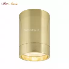 DK2050-BS