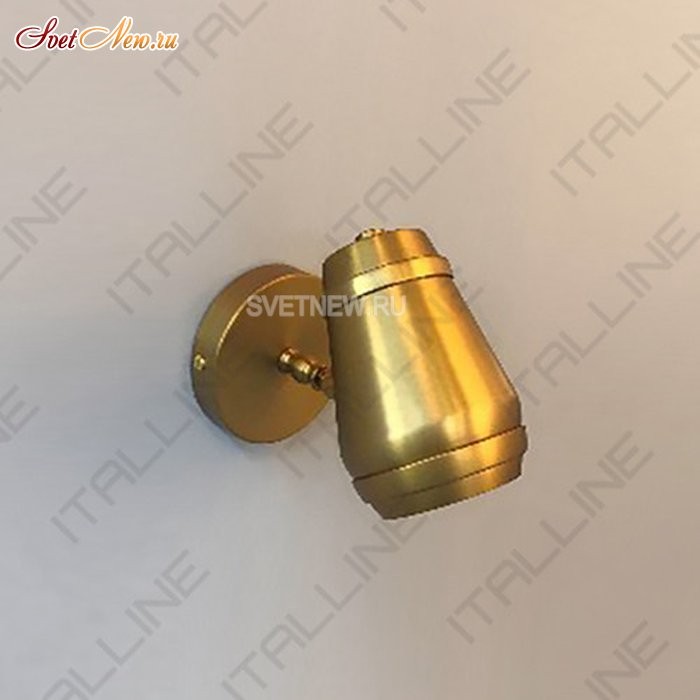 Leo AP 6264 brass