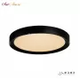 WL X8839-650R BK